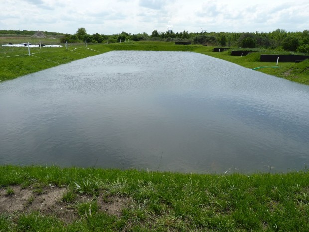 2013-05 DredgDikes TestDike Rostock Seepage Polder 2 filled