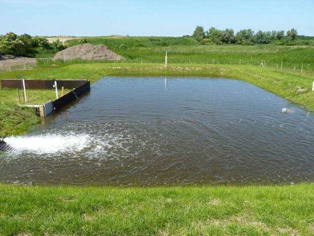 2013-06 DredgDikes TestDike Rostock Seepage Polder 3 filled