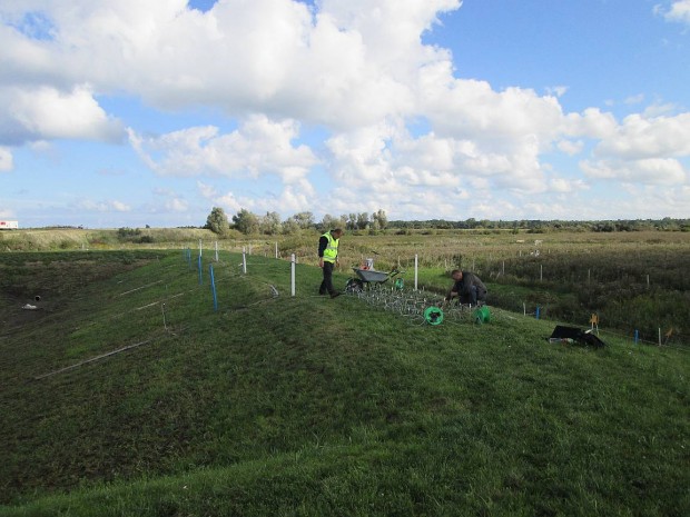 ERT crack detection at the Rostock DredgDikes research dike