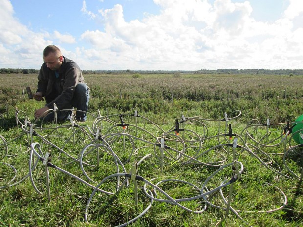 ERT electrodes installed on the dike crest at the DredgDikes research dike