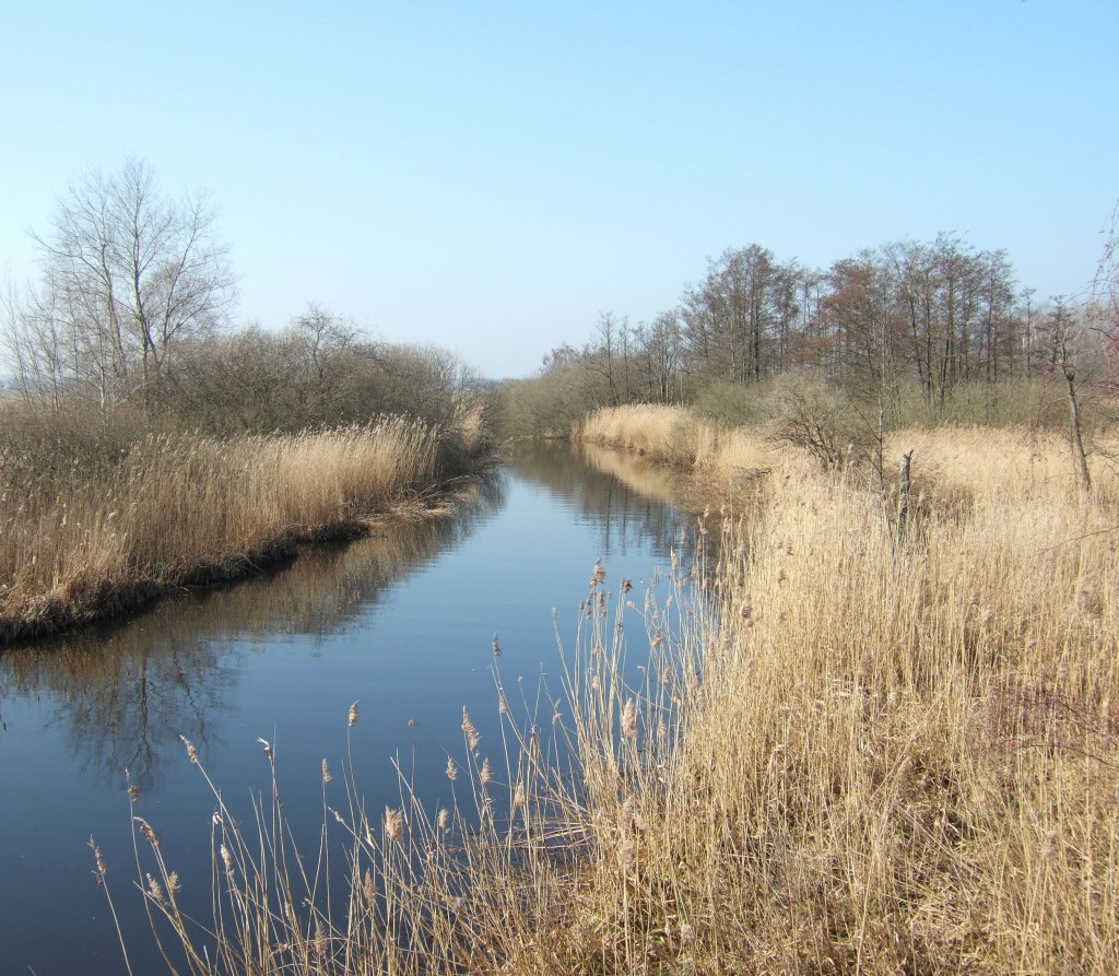 DredgDikes Pilot Dike Area Koerkwitzer Bach