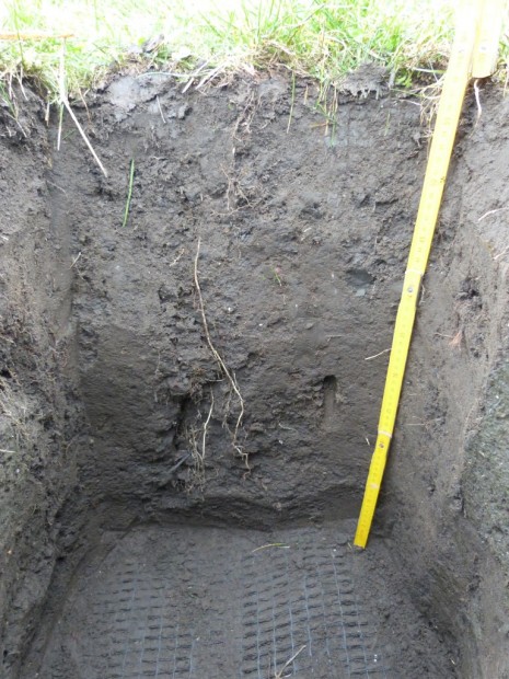 rooted layer of 60 cm at the compaction testing field